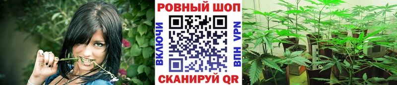 Наркота Чёрмоз COCAIN Марихуана Амфетамин Метадон Мефедрон ГАШ