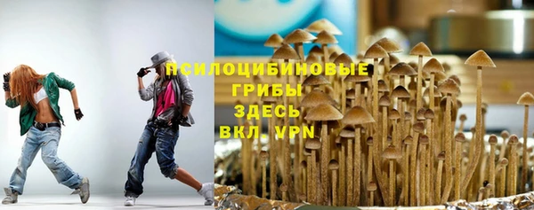 твердый Медвежьегорск
