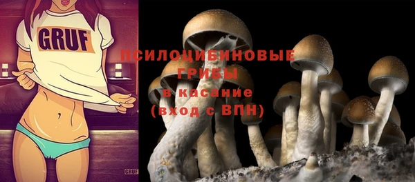 твердый Медвежьегорск